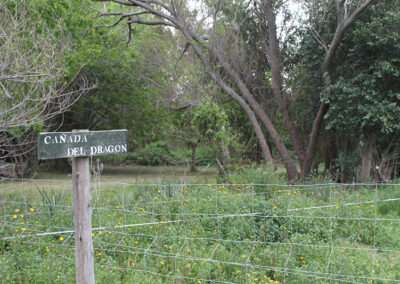 Cañada del Dragón en San Gerardo