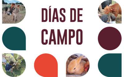 Días de campo