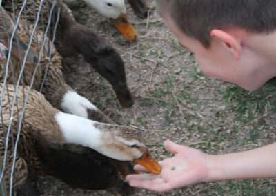 Visitas de escuelas en San Gerardo Melilla