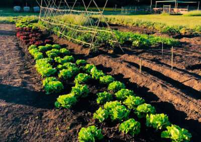 propuesta-tardecitas-5