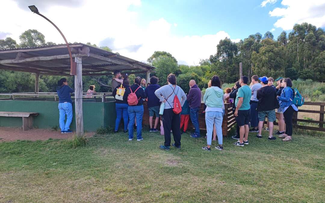 Propuesta Corporativa