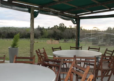 Mesas al Aire Libre