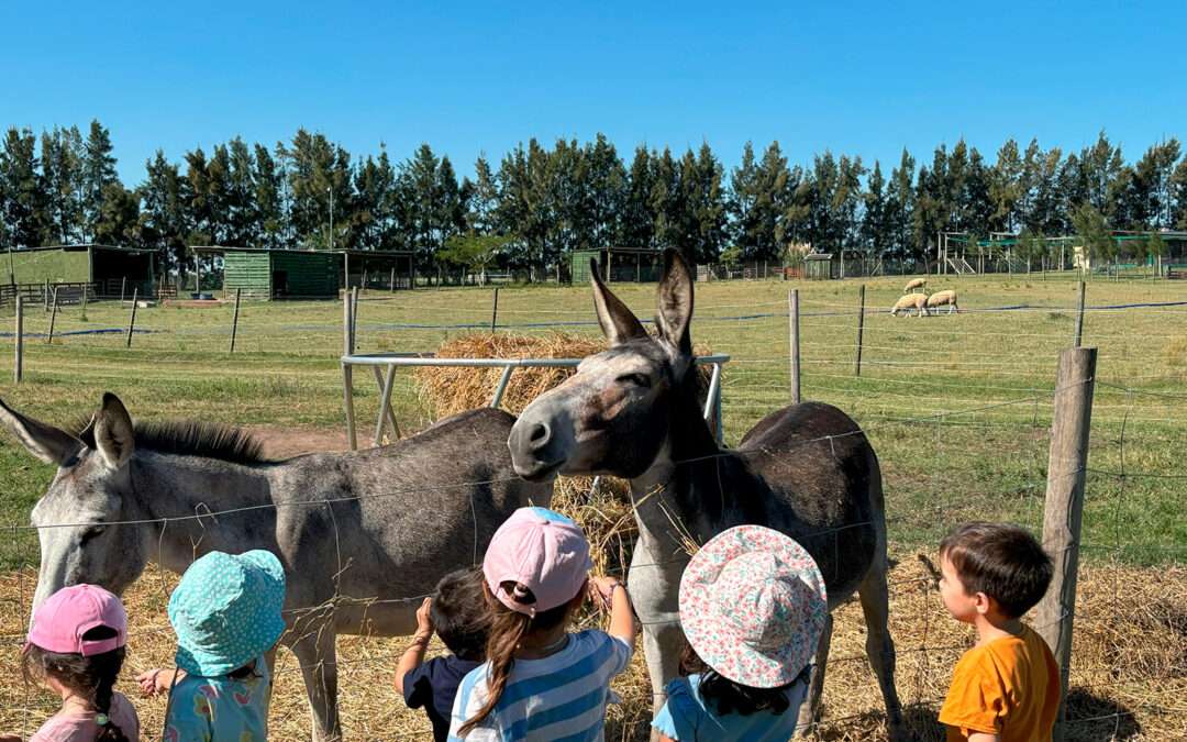 Visita a la Granja – Propuestas 2026